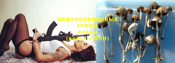 метадон Осташков