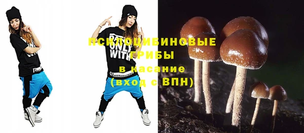 гашик Остров