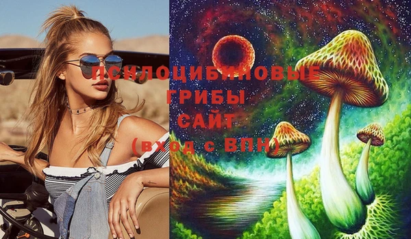 гашик Остров