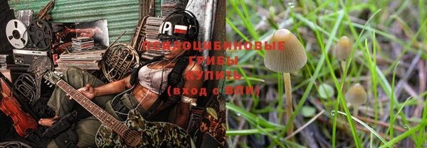 метадон Осташков