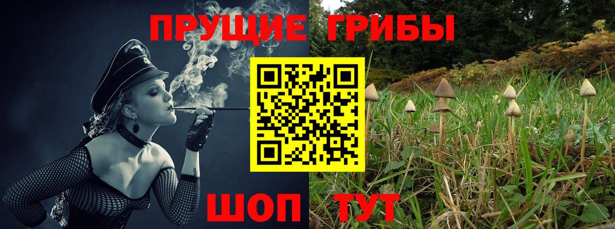 что такое наркотик  Вход с VPN  Холмск  Псилоцибиновые грибы прущие грибы 